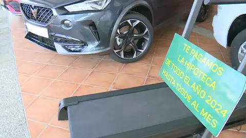 Cesta de Navidad Cesta de Navidad