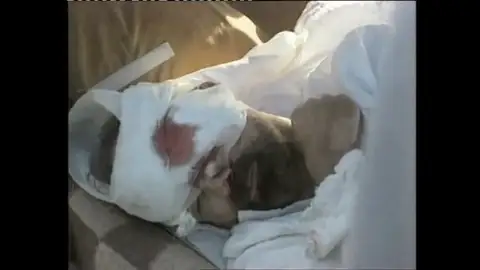 Efemérides de hoy 17 de noviembre de 2023: Masacre de Luxor Efemérides de hoy 17 de noviembre de 2023: Masacre de Luxor