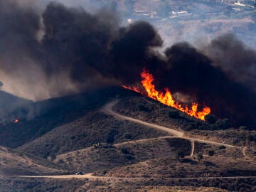 Imagen del incendio en Mijas