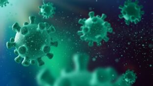 Virus visto microsc&oacute;picamente | Freepik