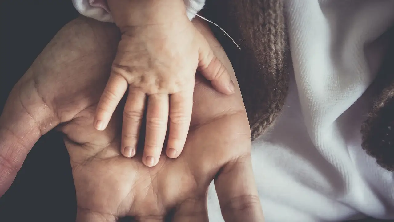 Donantes de esperma, &oacute;vulos y embriones perder&aacute;n el anonimato desde que nazca el beb&eacute; en Reino Unido