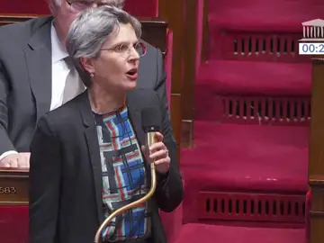 diputada francesa diputada francesa