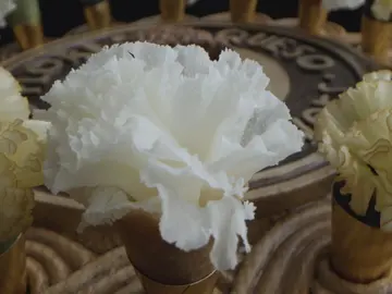 Flores de queso Flores de queso