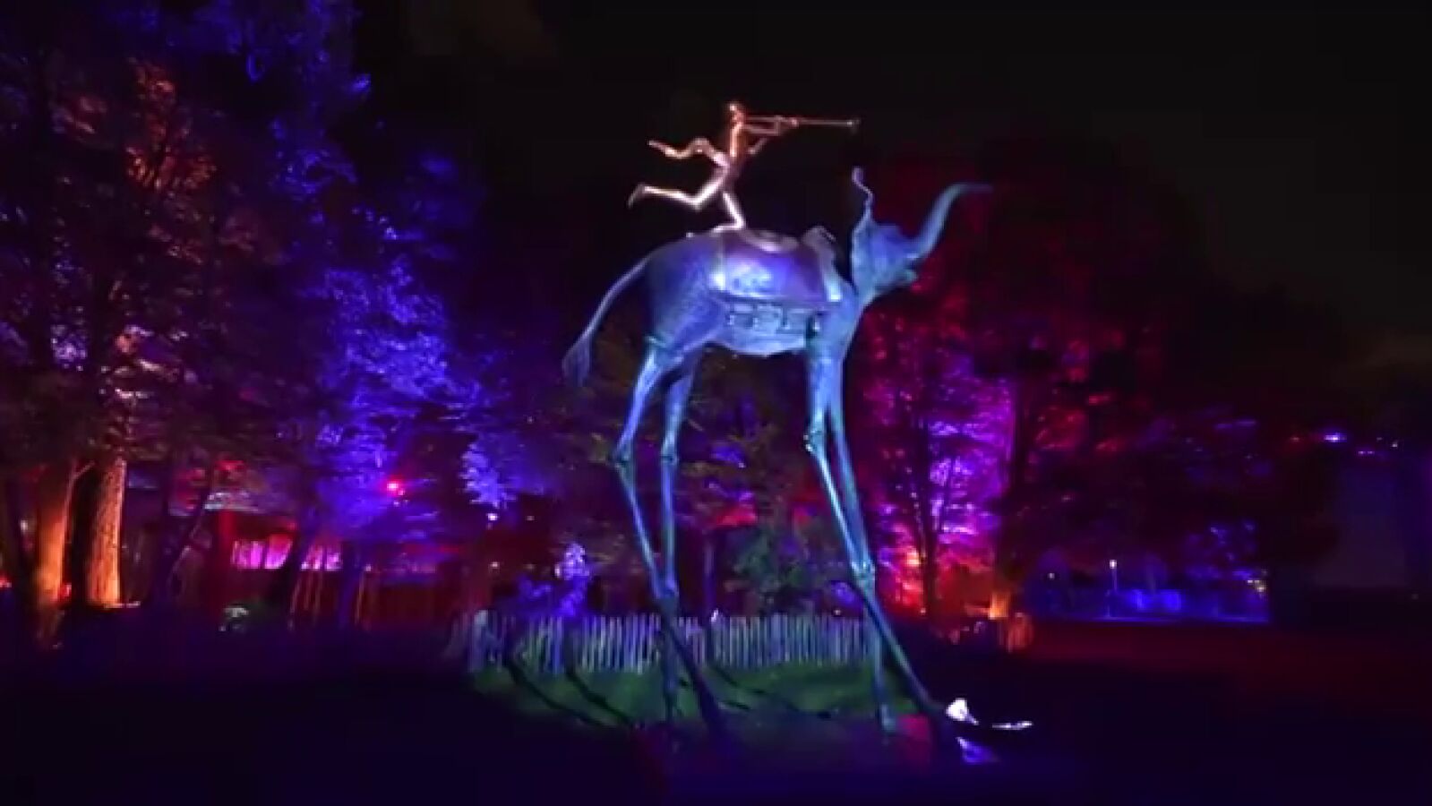 El arte de Salvador Dalí en la Naturaleza, una exposición inmersiva e interactiva