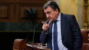 El portavoz del PNV Aitor Esteban