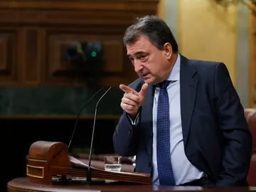 El portavoz del PNV Aitor Esteban El portavoz del PNV Aitor Esteban