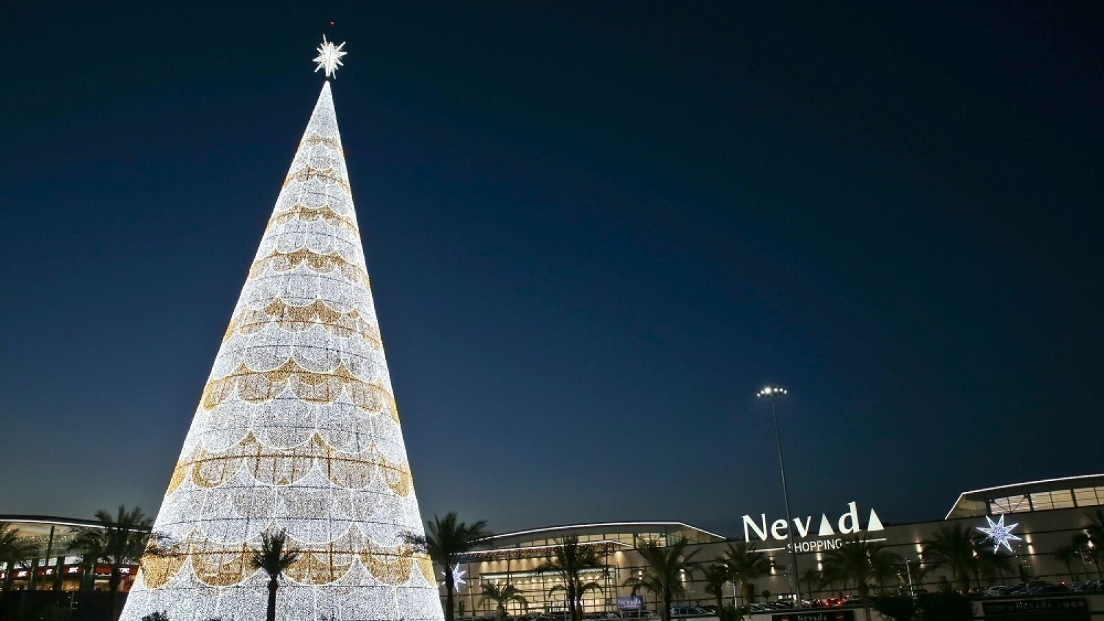 El árbol de Navidad más grande de España está en Granada