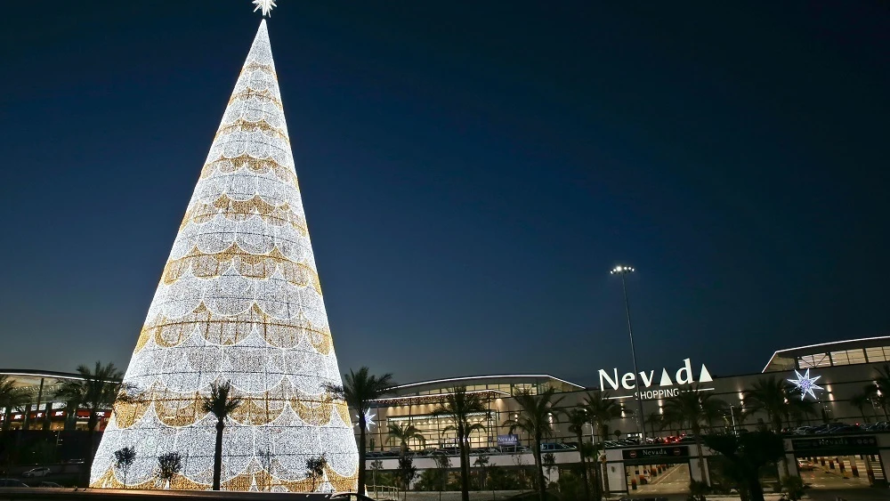 &Aacute;rbol de Navidad