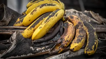 Plátano cubierto de ceniza