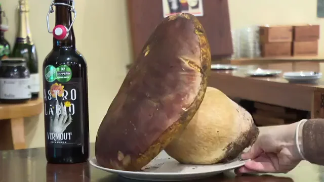 El hongo gigante de 2,8 kilogramos