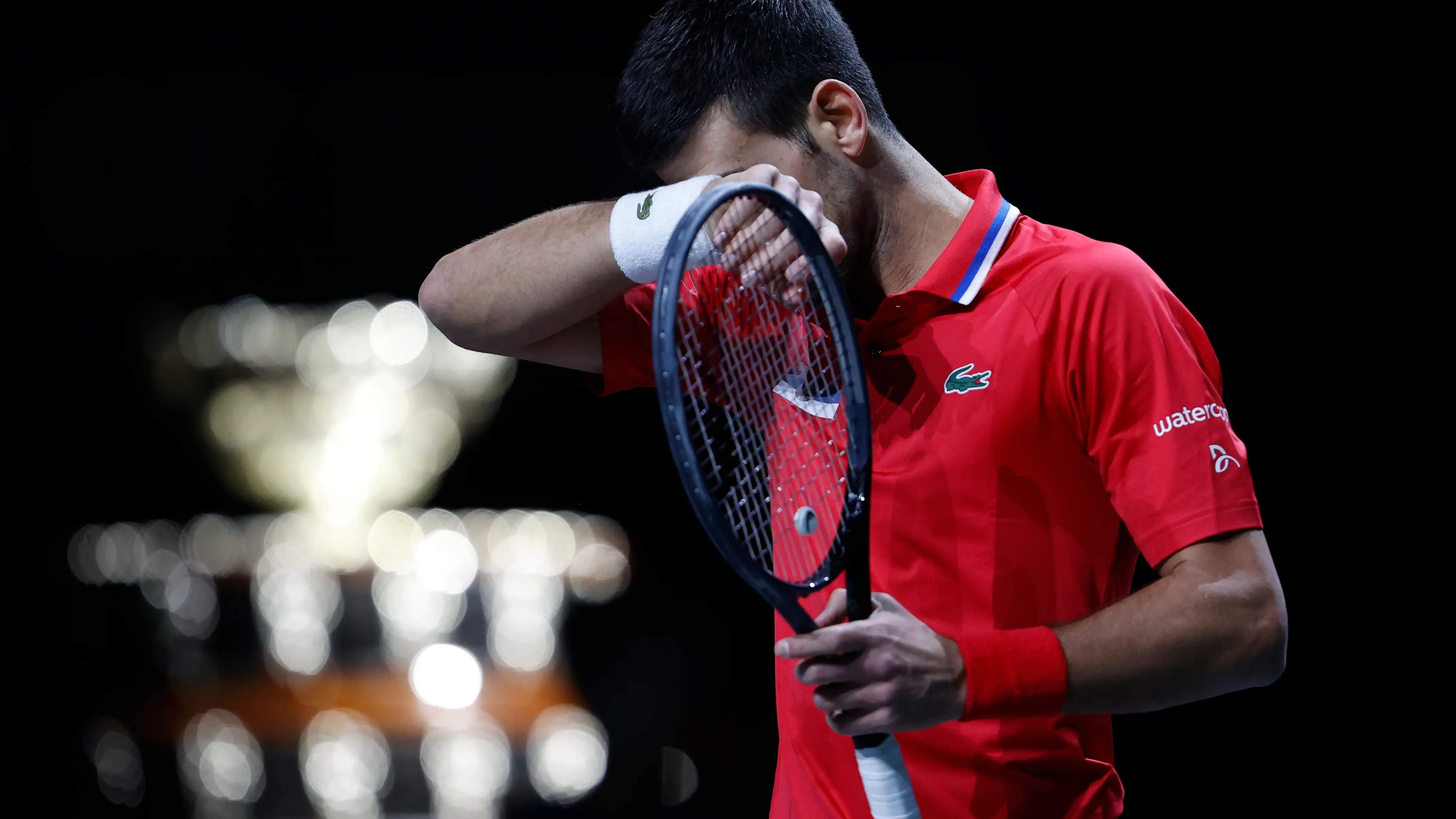 Novak Djokovic, en un partido de la Copa Davis en Málaga Novak Djokovic, en un partido de la Copa Davis en Málaga
