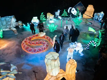 Así es Brilla Madrid Zoo: Marron convierte El Hormiguero... ¡en una jungla mágica! Así es Brilla Madrid Zoo: Marron convierte El Hormiguero... ¡en una jungla mágica!