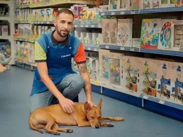 El dueño de un perro en una tienda de juguetes El dueño de un perro en una tienda de juguetes