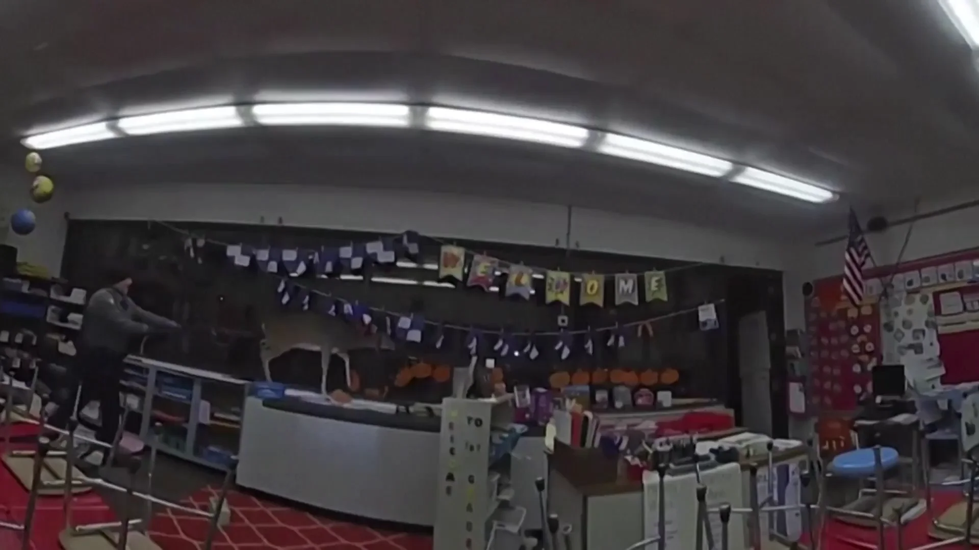 Un ciervo se cuela en una escuela de EE.UU
