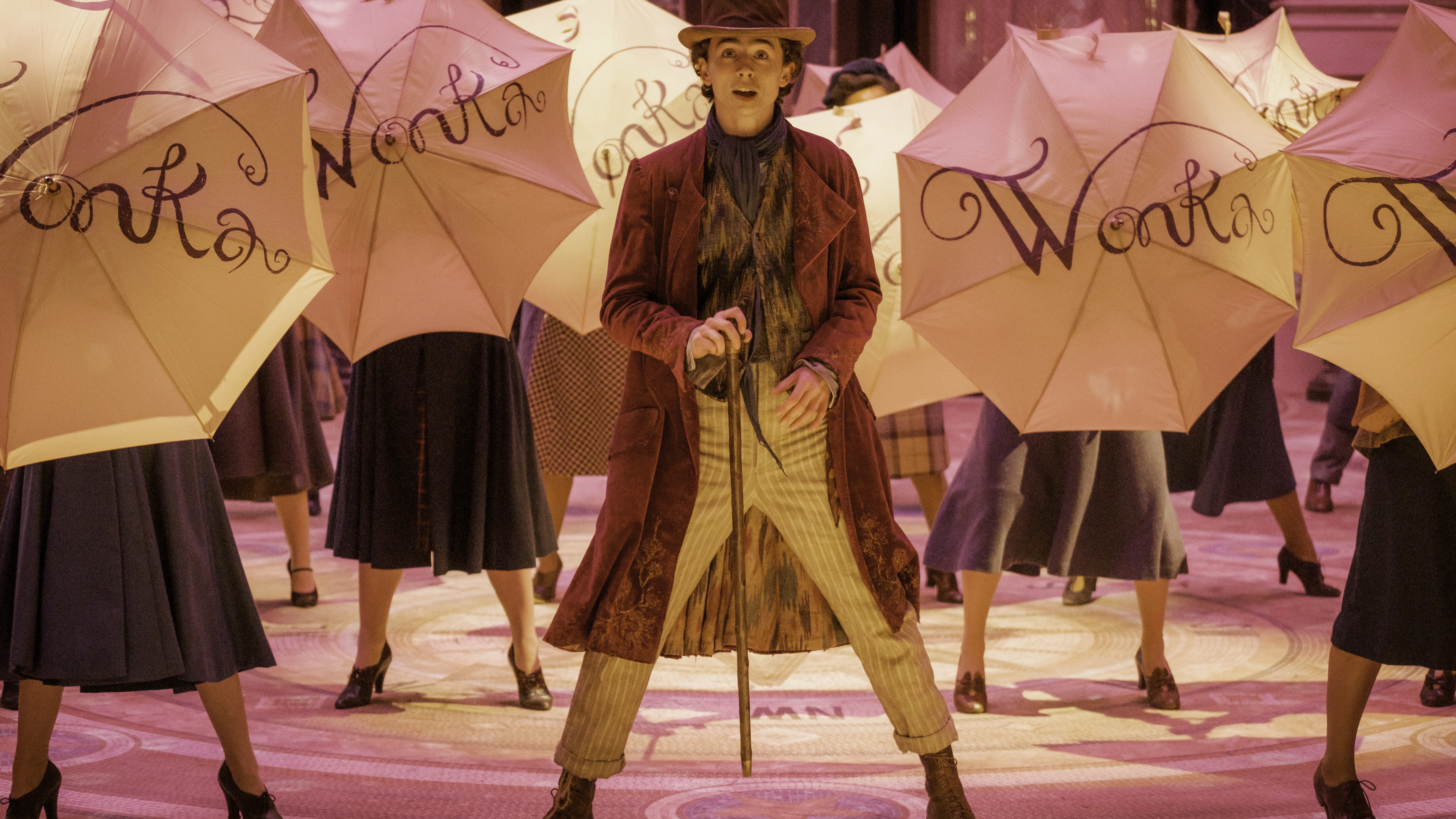 Timothée Chalamet, Willy Wonka Timothée Chalamet, Willy Wonka