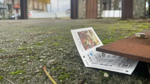 Participación escondida de la Lotería de Navidad Participación escondida de la Lotería de Navidad