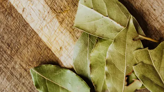 Laurel Laurel