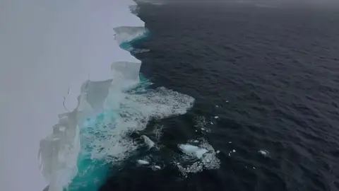 El iceberg más grande del mundo El iceberg más grande del mundo