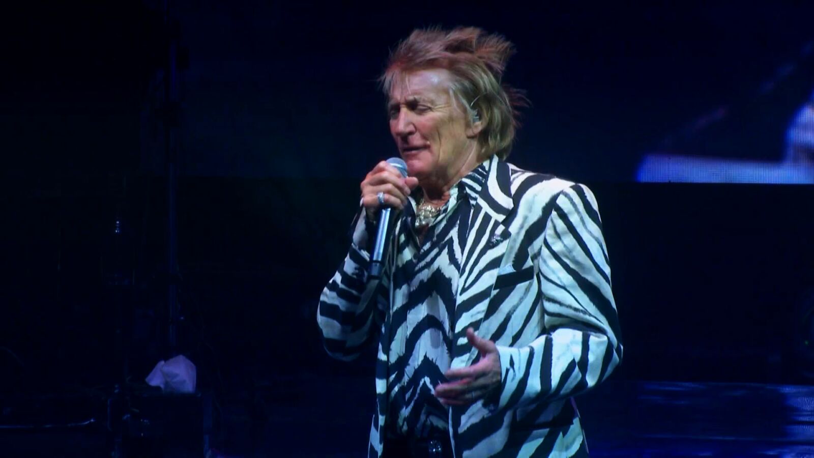 El concierto de Rod Stewart reúne en Madrid a celebrities de la talla de Julio Iglesias Jr. o Victoria Federica
