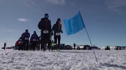 Corredores en la maratón de la Antártida Corredores en la maratón de la Antártida