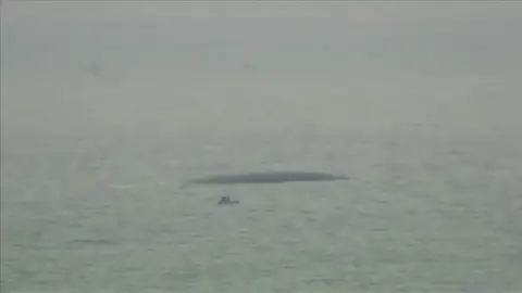 Efemérides de hoy 25 de diciembre de 2023: Se estrella avión ruso en el Mar Negro con miembros del coro del Ejercito ruso Efemérides de hoy 25 de diciembre de 2023: Se estrella avión ruso en el Mar Negro con miembros del coro del Ejercito ruso