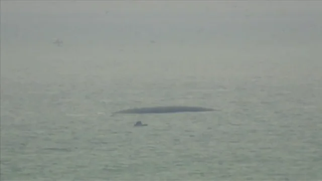 Efem&eacute;rides de hoy 25 de diciembre de 2023: Se estrella avi&oacute;n ruso en el Mar Negro con miembros del coro del Ejercito ruso