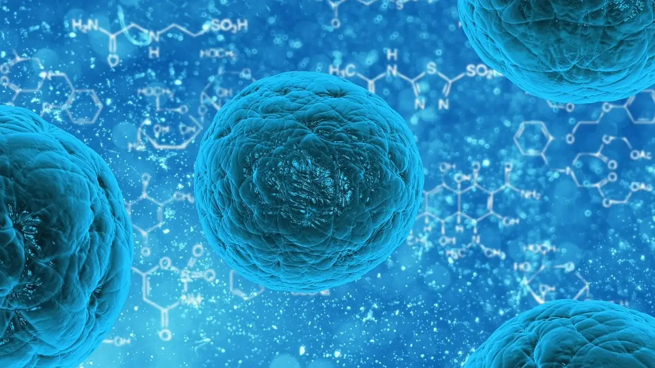 Imagen de archivo de una bacteria