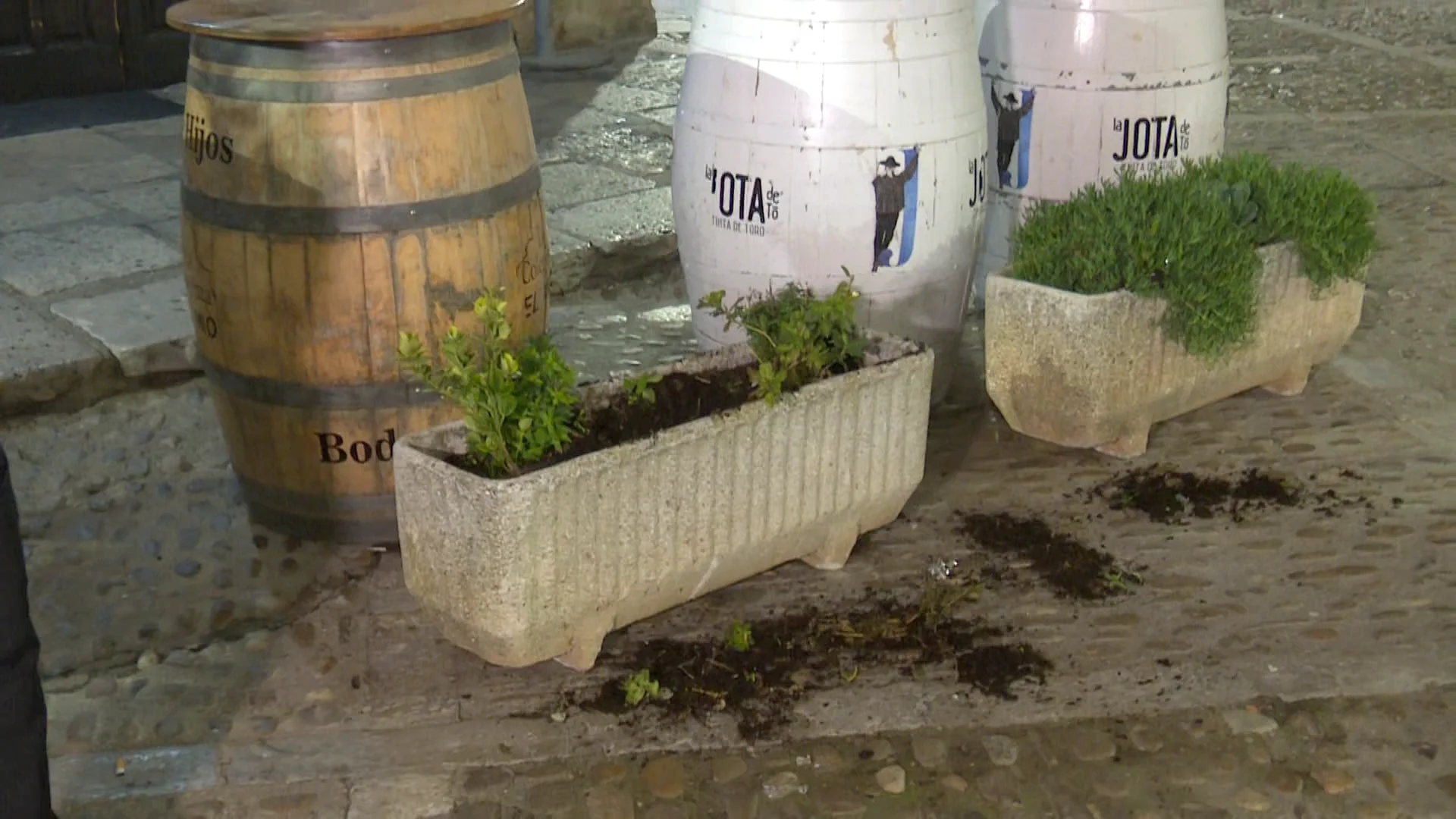 El dueño de un restaurante en Zamora busca al ladrón de su laurel: "Que me lo pidan si quieren" El dueño de un restaurante en Zamora busca al ladrón de su laurel: "Que me lo pidan si quieren"