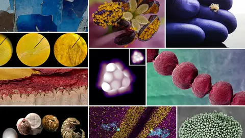 FOTCiencia20 FOTCiencia20