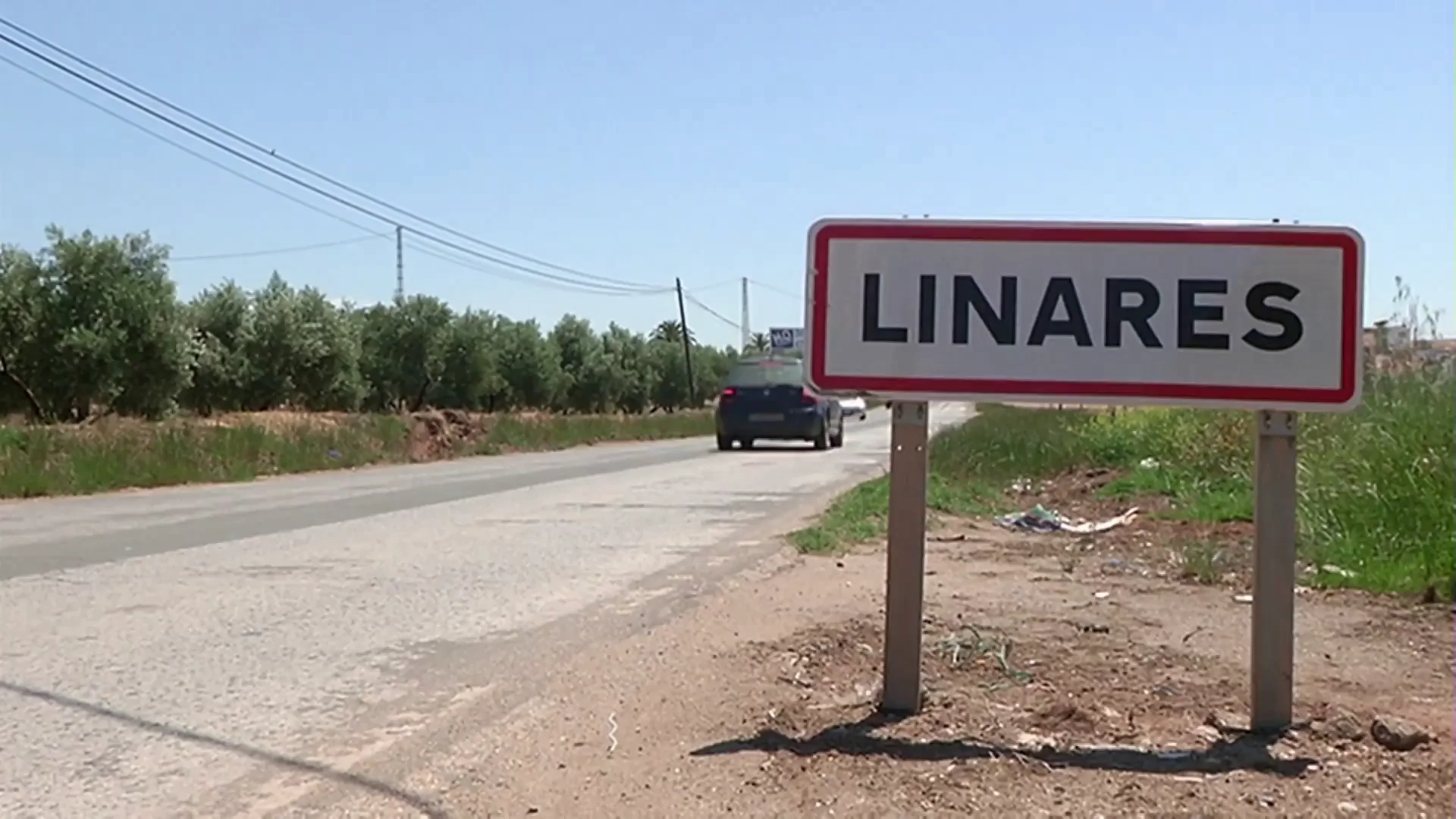 Linares Linares