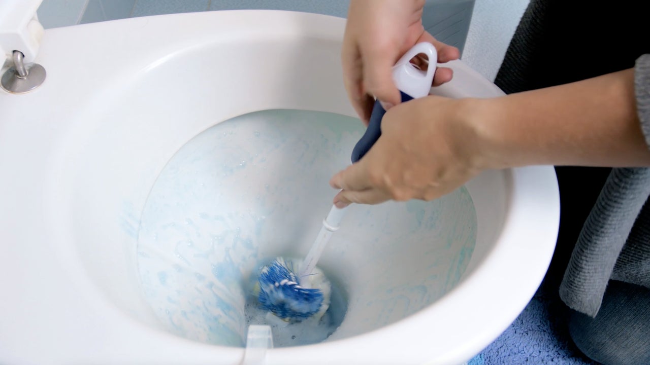 Cómo limpiar la escobilla del váter para que los gérmenes no se apoderen de  tu baño