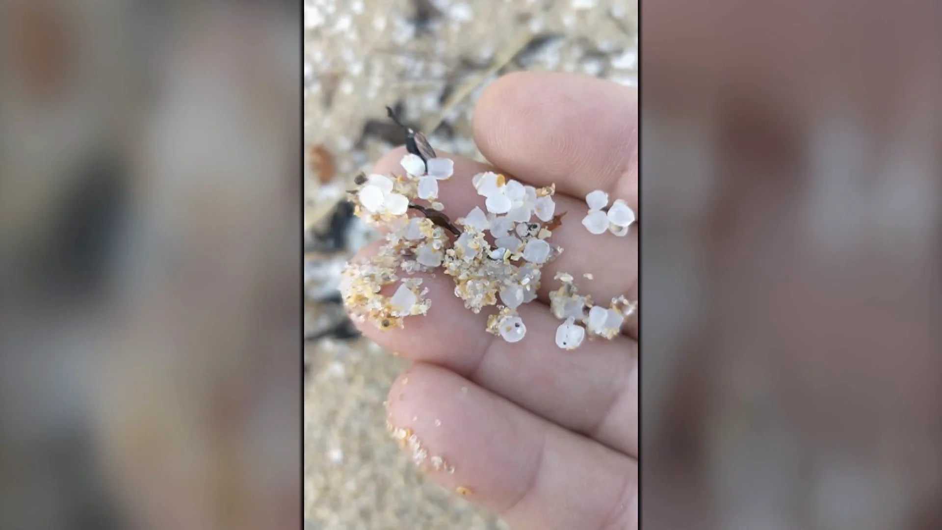 Vertido de bolitas de plástico en Galicia Antena 3 Noticias