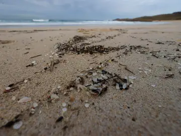 Pellets de plástico en la playa Pellets de plástico en la playa