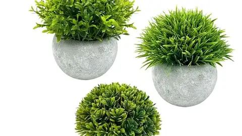 Plantas de sobremesa artificiales Plantas de sobremesa artificiales