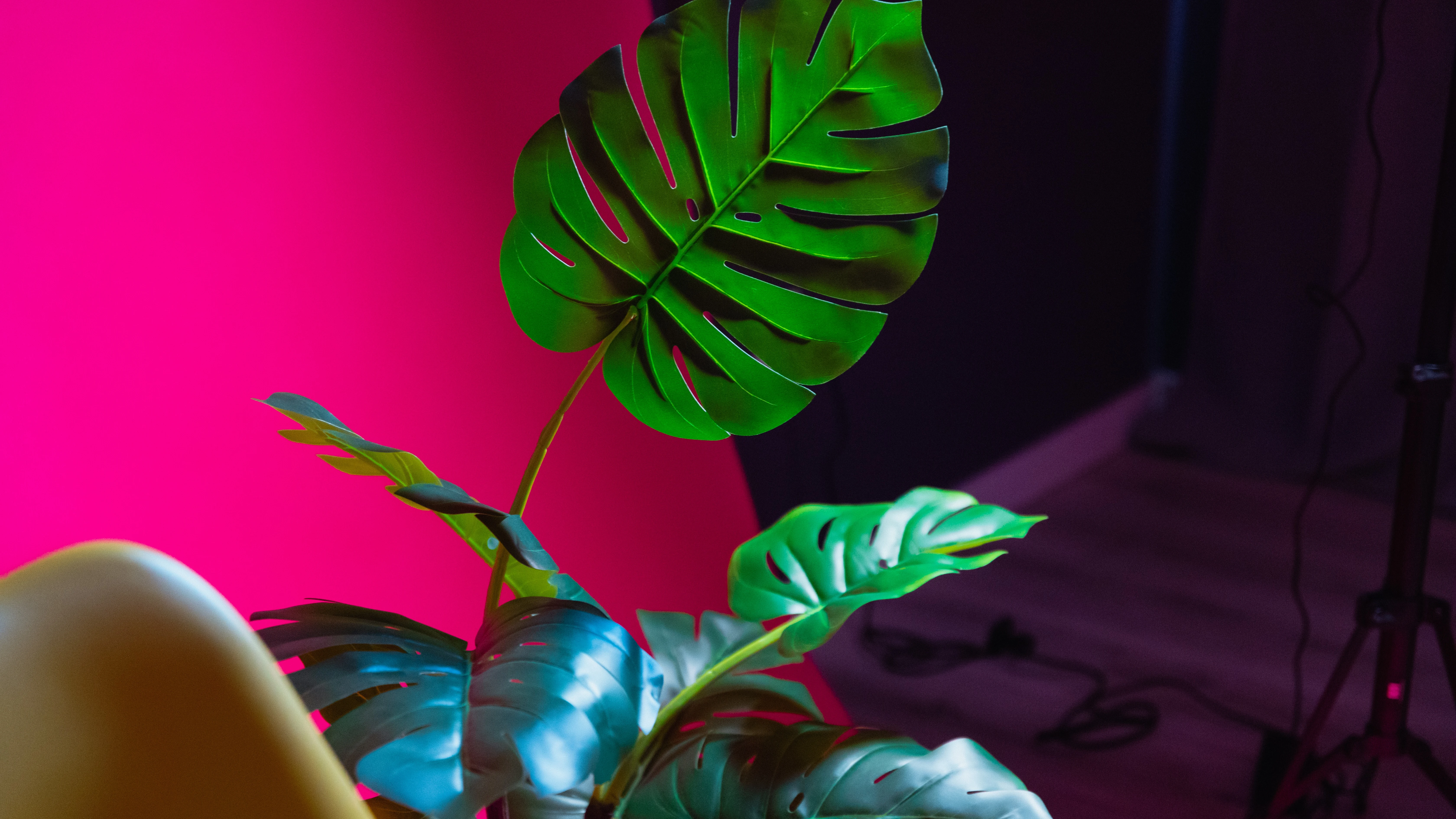 Planta artificial