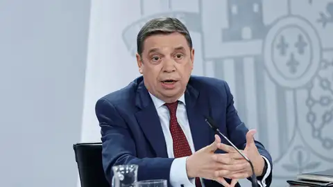 Luis Planas, ministro de Agricultura Luis Planas, ministro de Agricultura