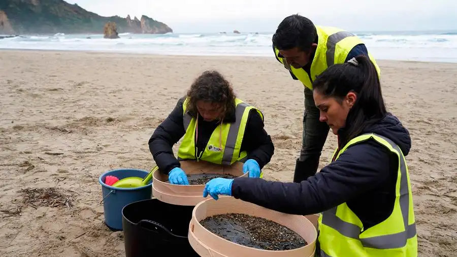 Operarios de Asturias retiran pellets de una de las playas del Principado.