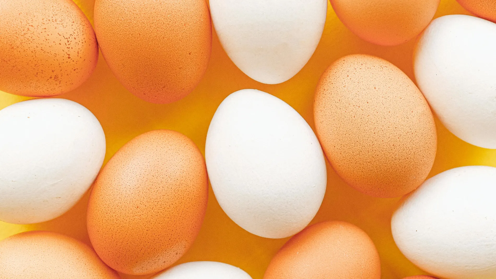 Imagen de archivo de huevos de gallina