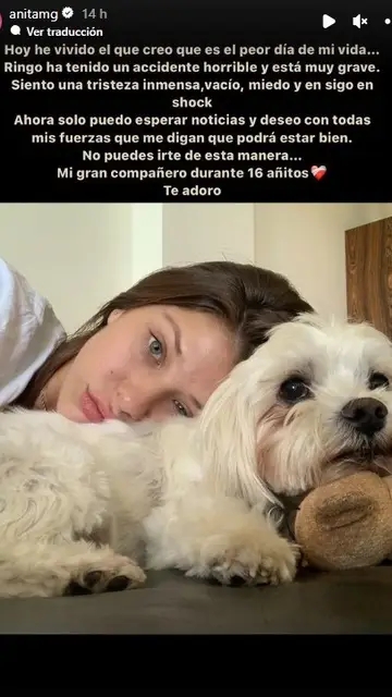 Anita Matamoros cuenta el accidente de su perro Ringo Anita Matamoros cuenta el accidente de su perro Ringo