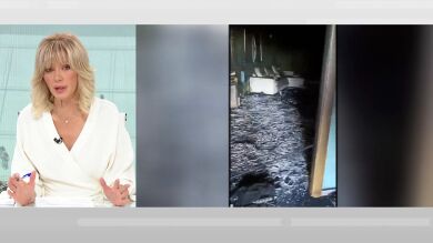Los okupas prenden fuego a la casa en Zaragoza y huyen, dejando a su perro abandonado
