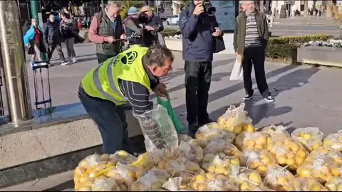 Limones regalados Limones regalados