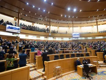 Varios diputados aplauden a representantes de los colectivos de personas con discapacidad que asisten al pleno como público Varios diputados aplauden a representantes de los colectivos de personas con discapacidad que asisten al pleno como público
