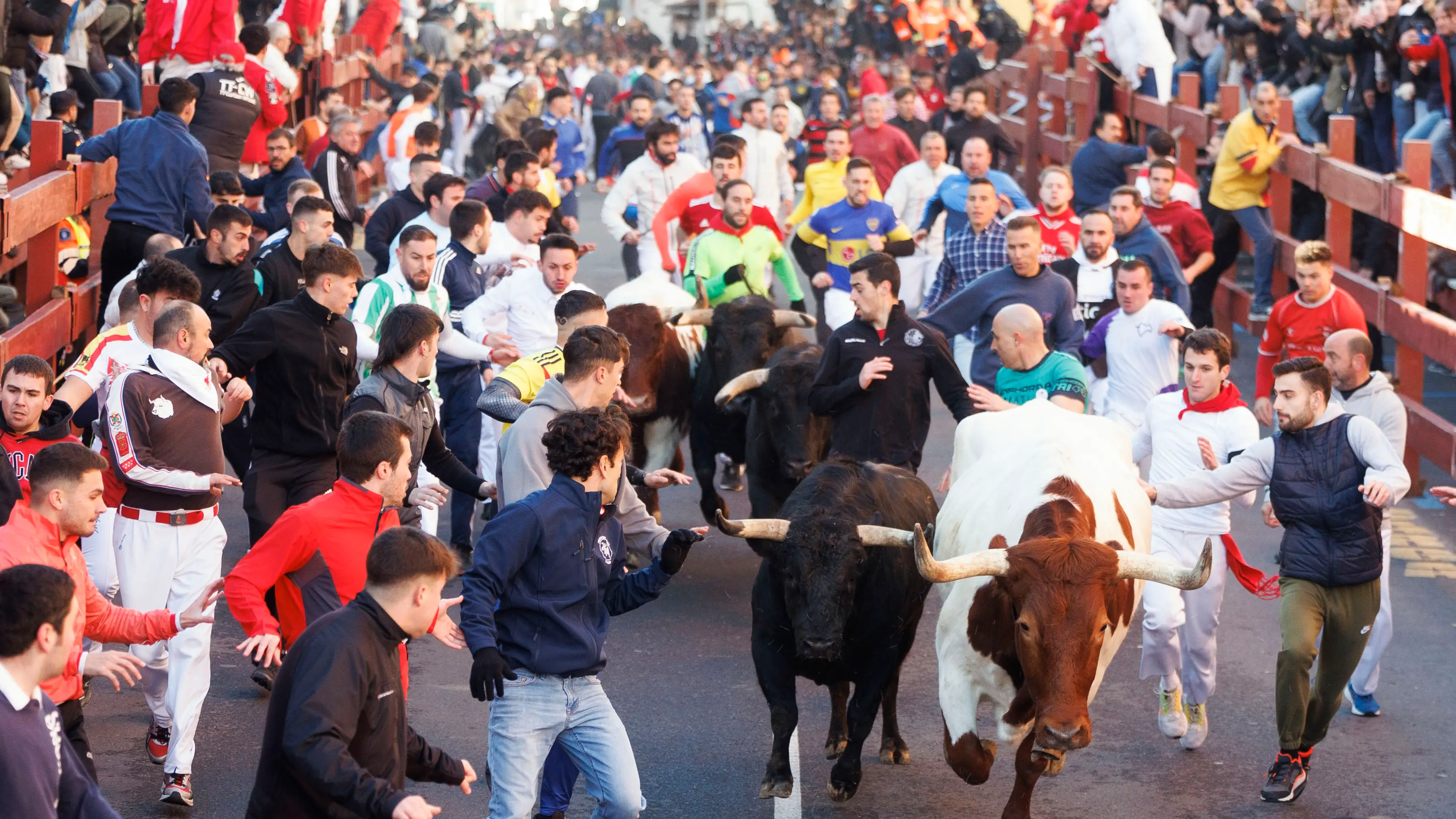Encierros Blancos en San Sebasti&aacute;n de los Reyes
