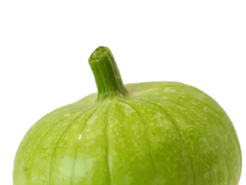 Zucchiolo Zucchiolo