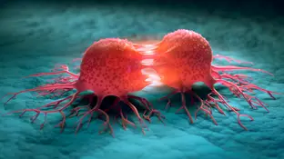 Reproducción de células cancerosas Reproducción de células cancerosas