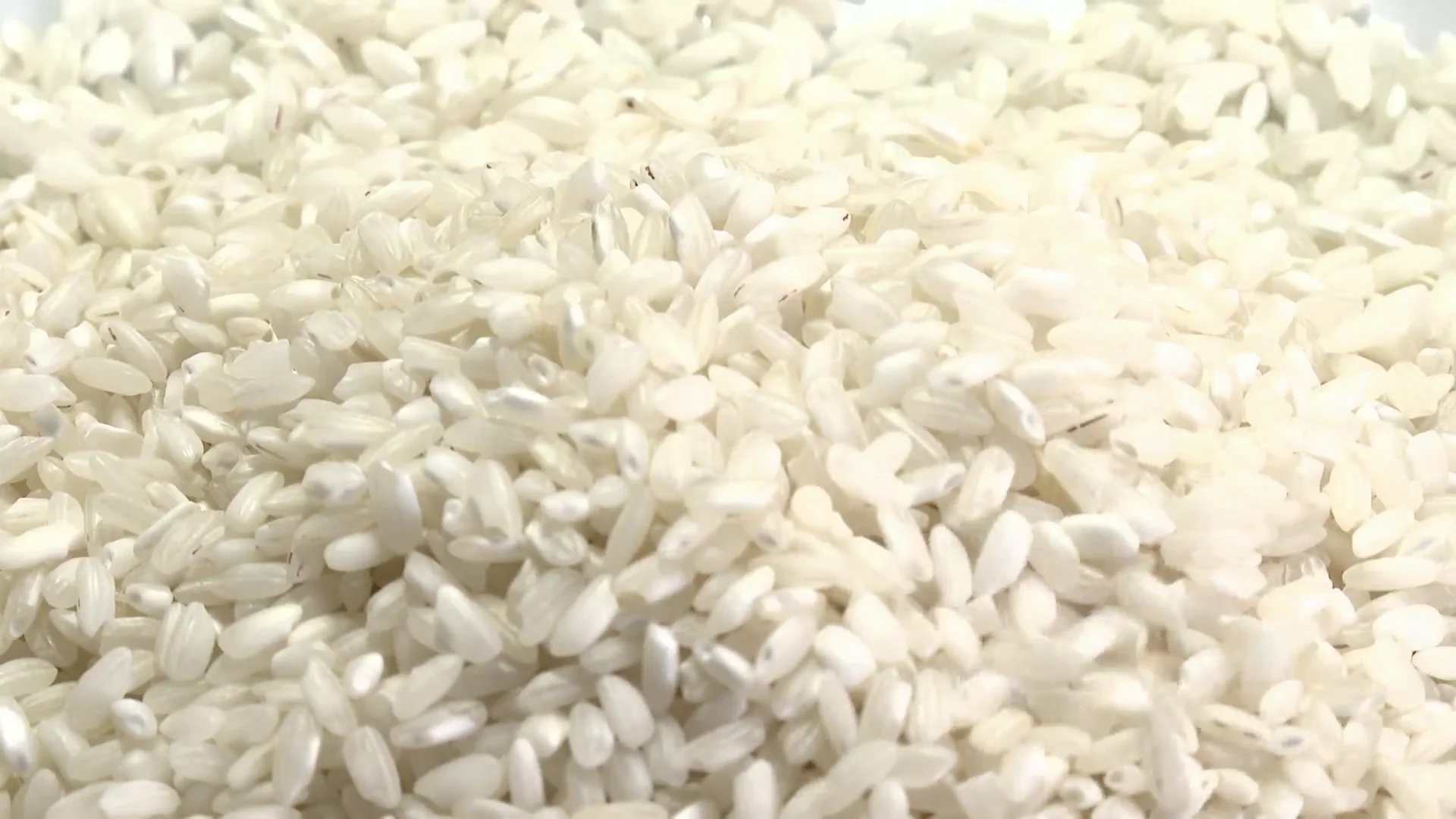 Arroz Arroz