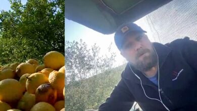 Las reivindicaciones del agricultor español Tomy Rhode: 