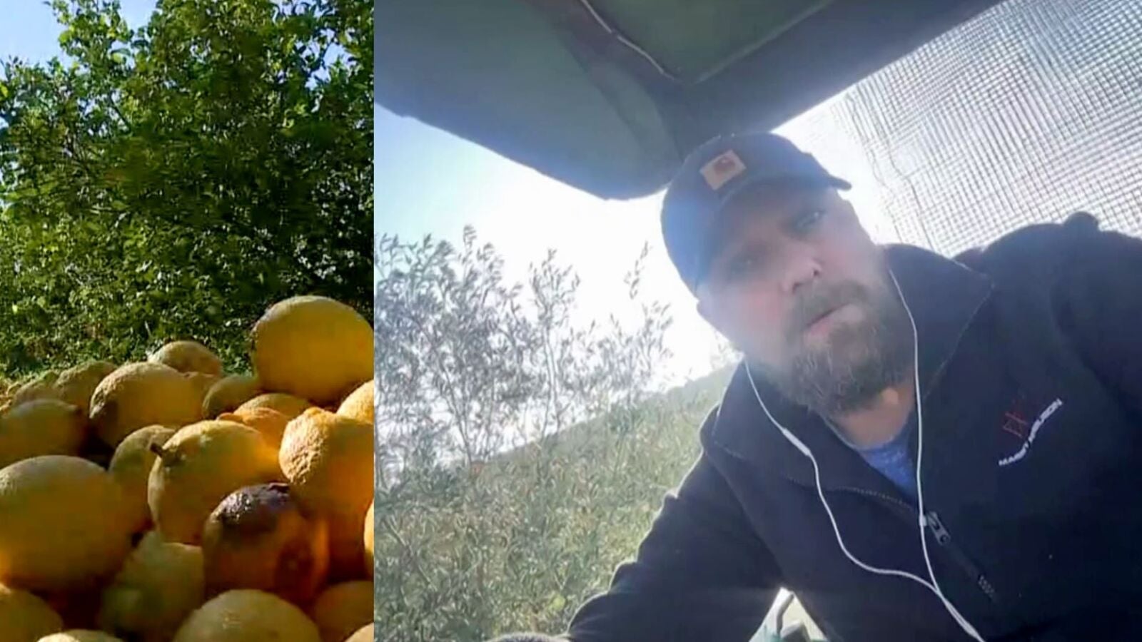 Las reivindicaciones del agricultor español Tomy Rhode: 