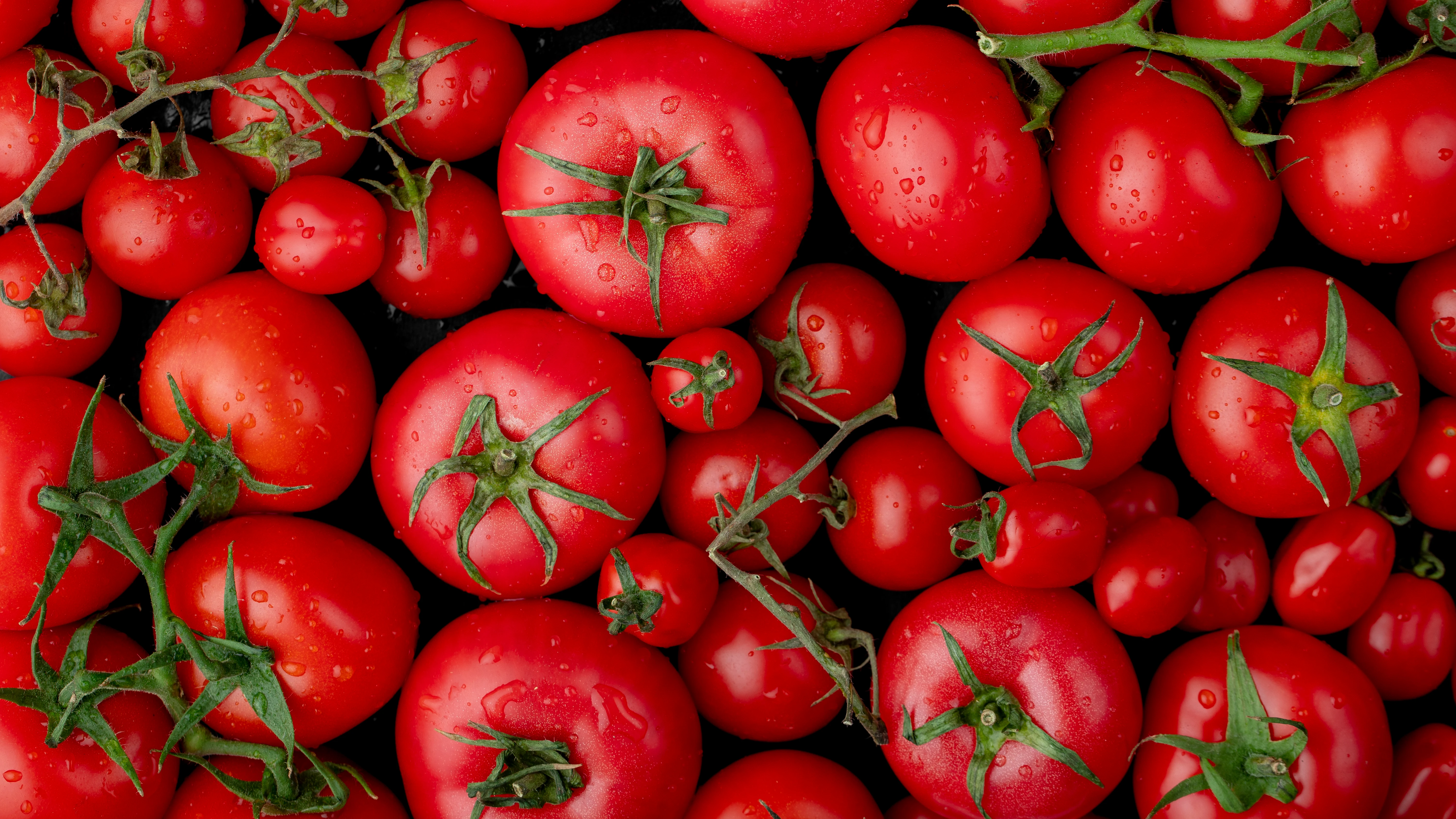 Tomates Tomates