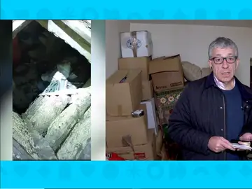 Secuestro y agresiones en zulo Secuestro y agresiones en zulo